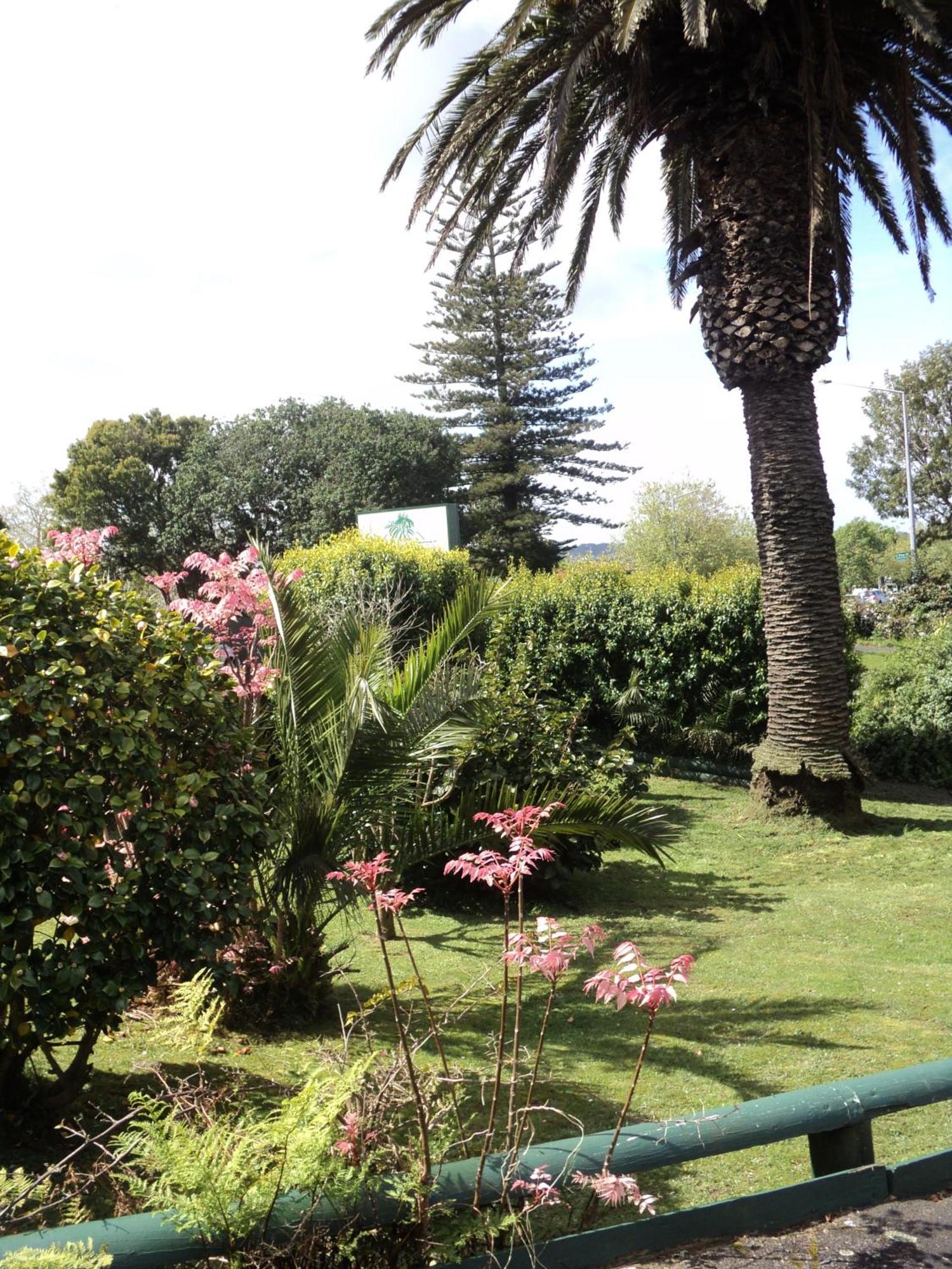 New Haven Motel Auckland Eksteriør billede